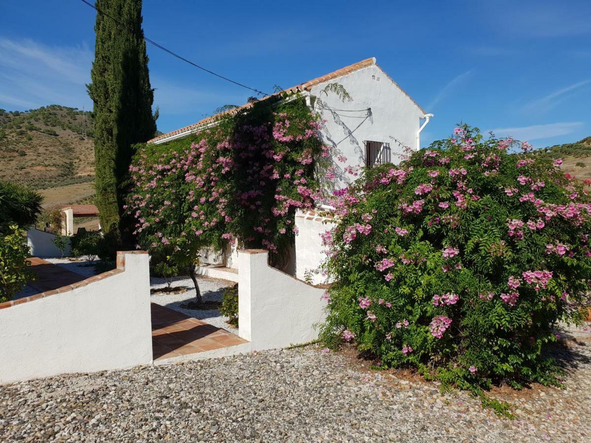알로라 Casa Fuente De La Zorra 게스트하우스 외부 사진